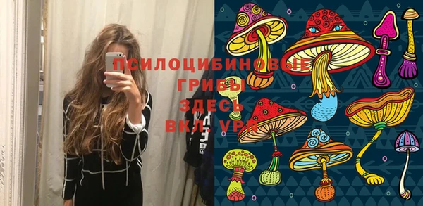 PSILOCYBIN Магадан