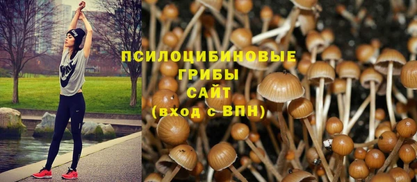 PSILOCYBIN Магадан