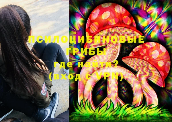 мяу мяу мука Магас