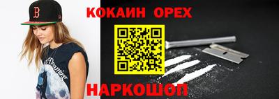 гидра Новодвинск