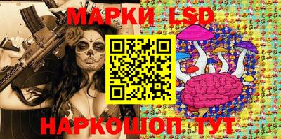 mdpv Новозыбков
