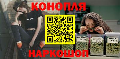 гидра Новодвинск