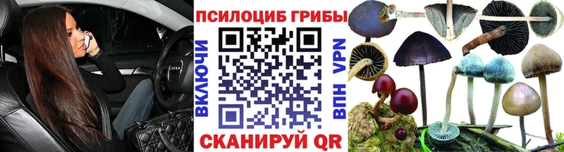 купить сайты Шарыпово Псилоцибиновые грибы ЛСД