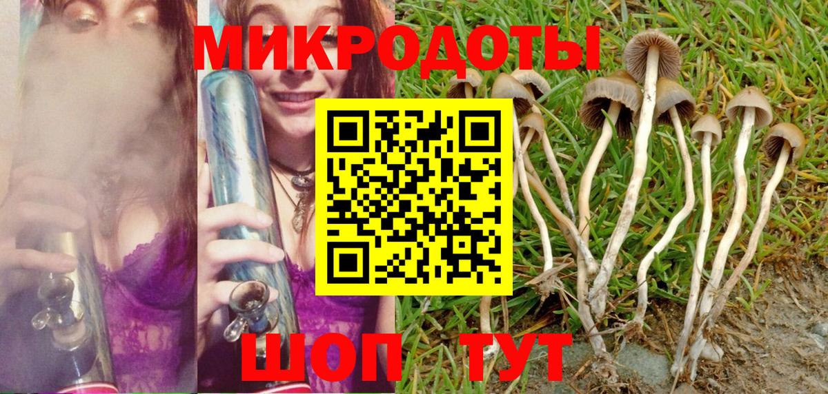 Шарыпово  Галлюциногенные грибы мицелий  где купить наркотик  Вход с VPN 